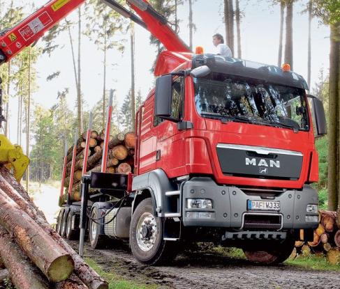 Доставка щепы и древесины