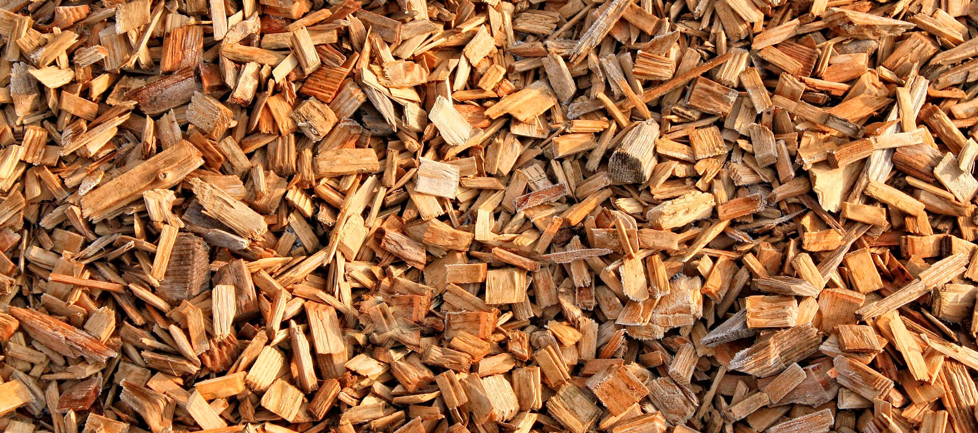 background-2